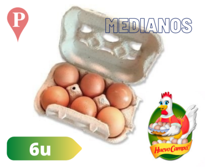 Huevos Castaños medianos Huevo Campo