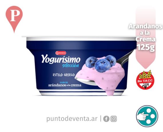 Yogurisimo Seleccion Estilo Griego Arandanos a la Crema 125g